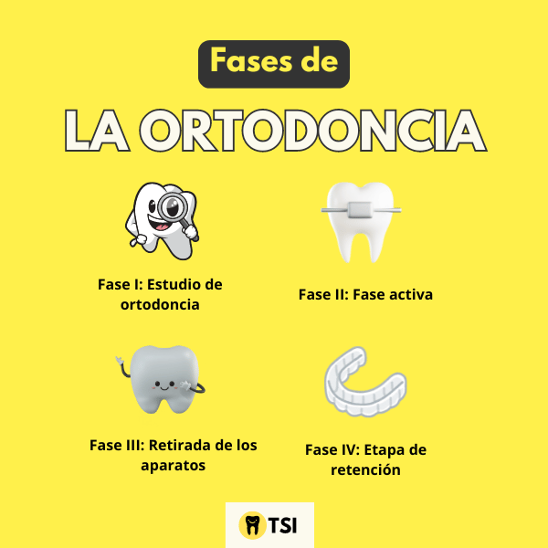 fases de la ortodoncia